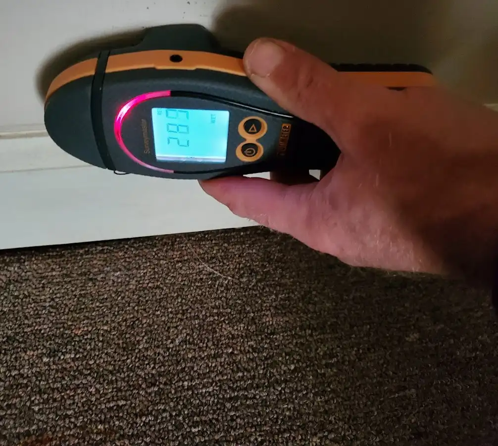 Moisture detection at baseboard during Sewage Cleanup & Sanitation in Pewaukee